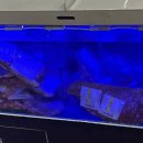 울타리정육점식당본점 이미지