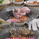 부산산꼼장어 네이버블로그