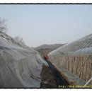 차강농장 이미지