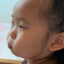 꿈마루어린이집 | 군포 그림책 꿈마루 어린이도서관 방문 기획 상설전시 옥상정원카페 즐거운 하루
