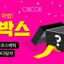 시코르 이미지