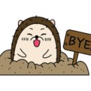 생태랑 놀아볼까 이미지