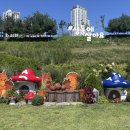 피크닉장 이미지