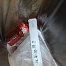 중앙상회 | [공지] 강릉중앙시장 문어숙회 맛집 조광상회 포장 후기