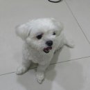 샐리동물병원 이미지