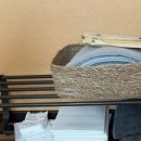 에덴꼬마김밥 이미지