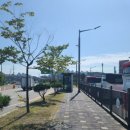 버스정류소_삼아아파트 이미지