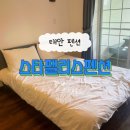 스타펜션 | 태안 : 충남 태안 수영장 있는 펜션 [스타팰리스펜션] 마검포에서 가까운 펜션 내돈내산 후기