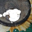 행복한 자동차마을 이미지