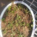 선남농장 이미지