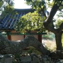 아라메길(3) 이미지