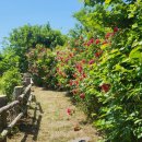 신성펜션 이미지