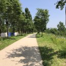 한강다목적운동장 축구장 이미지