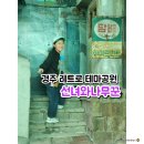 제주 선녀와나무꾼 테마공원 후기