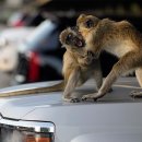 gc-camera-010 이미지