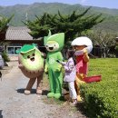 삼총사