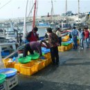 설도젓갈타운 이미지