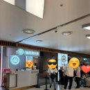올웨이즈얼음과자 | 하이디라오 코엑스점 후기 (feat. 명동점 방문기도 살짝!)