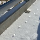 바우목장 이미지