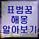 표범꿈 해몽 흑표범꿈 태몽 등 표범 나오는 꿈 총정리 이미지