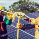 자연1 태양광발전소 이미지