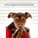 A dog's (어독스) 티스토리