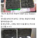 농라떡집
