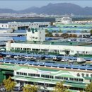 항도청과