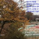 스포코리아 이미지