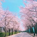 승리태권도장 이미지