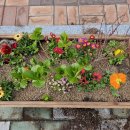 대구대서초등학교 이미지