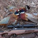 덕일슈퍼 이미지