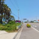 표선리-4 이미지