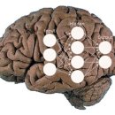 스토리47 이미지