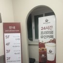 메노퀸즈