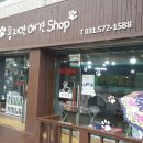 홍지연애견샵 이미지