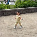 먹자네 | 17개월 재접근기 시작, 다시 돌아온 엄껌시기 👶🏻