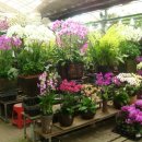 서울화원 이미지