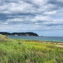 거진항공인중개사사무소 이미지