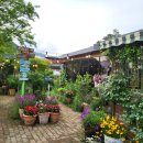 세렌의정원 이미지