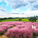 동산농장(1) 이미지