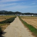 오덕 5리 Daum카페