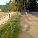 보행자전용도로 이미지