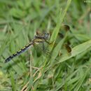 불로고분공원 이미지