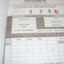 렉스텔 이미지