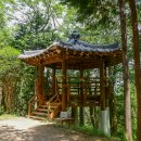 꽃마을로 이미지