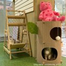 힐링 펫 카페 이미지