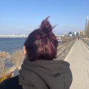 노벨라 별넷 | 별 돌아가는 별 넷. 2023년 1/4 시작하는 중