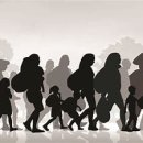 판교허가 이미지