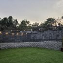 트리몰리 이미지